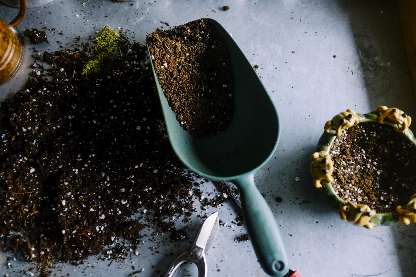 Your Trusted Landscaping & Construction Partner